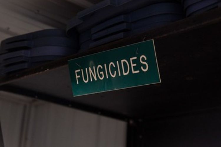 a sign that reads fungicides