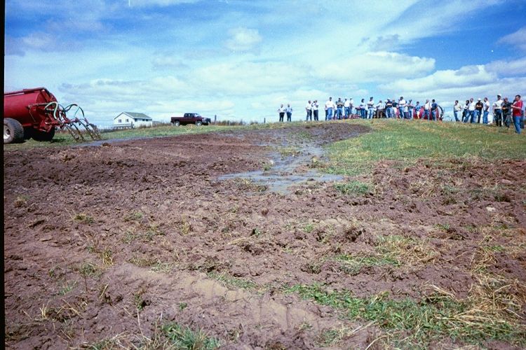people stand at the top of a hill looking at brown covered grass