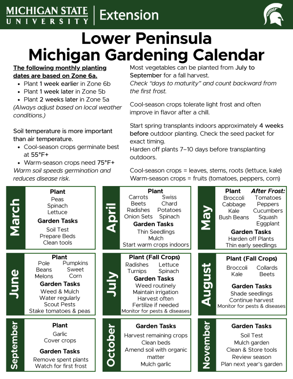 For decorative purposes.