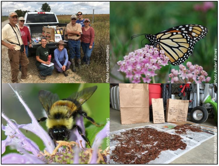 Bee collage