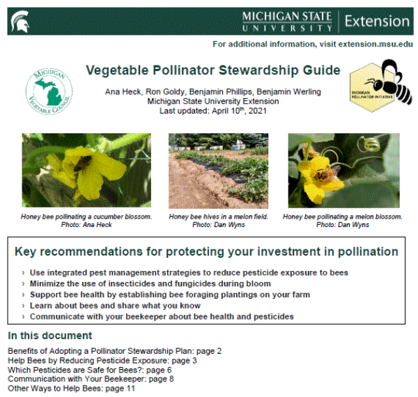 Image of the cover page of the vegetable pollinator stewardship guide