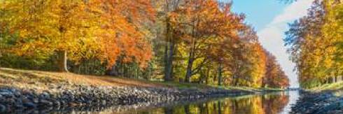 fall forest next to river