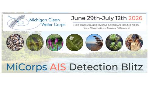Event banner includes the Michigan Clean Water Corps logo, the event dates (June 29th - July 12th, 2026), the event title (MiCorps AIS Detection Blitz) and the tagline, 