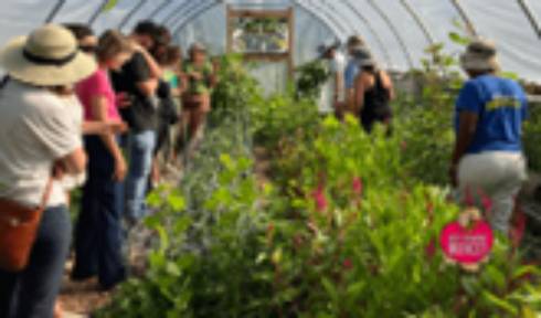 A group of people looking at the crops in a small hoophouse.