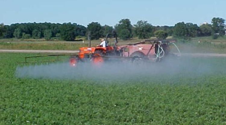 Sprayer spraying crops in field.