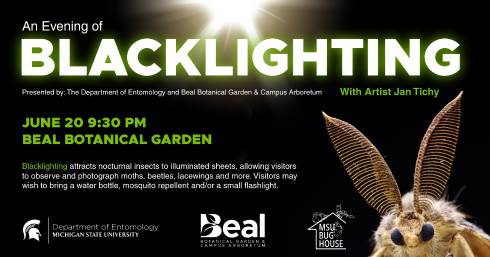 blacklighting
Presented by: The Department of Entomology and Beal Botanical Garden & Campus Arboretum
With Artist Jan Tichy
An Evening of
June 20 9:30 PM
Beal Botanical Garden
Blacklighting attracts nocturnal insects to illuminated sheets, allowing visitors to observe and photograph moths, beetles, lacewings and more. Visitors may wish to bring a water bottle, mosquito repellent and/or a small flashlight.