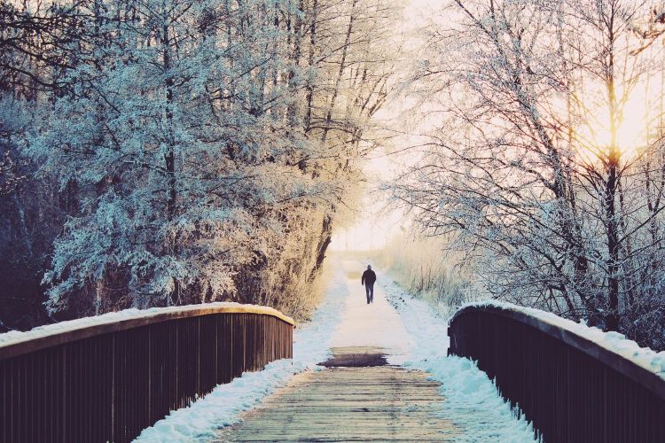 A person in the distance walks toward a bridge on a winter day, snow and ice are the trees.