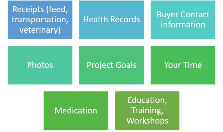 Examples of records that might be kept for a market animal project