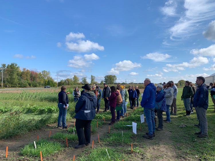 A group of people standing in a field listening to a presenter talk.