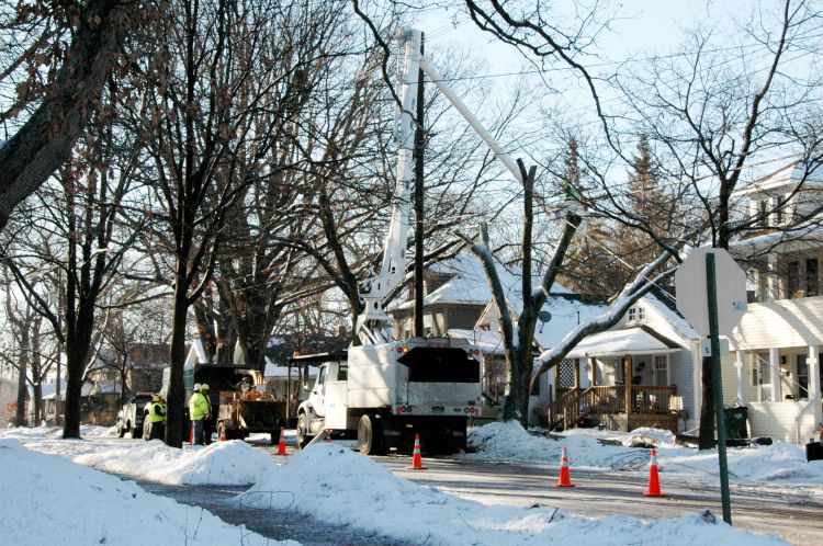 A subdivision with downed trees and cable crews helping to clear out broken limbs.