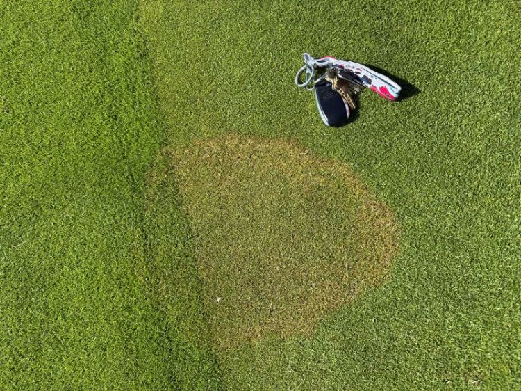 A brown circle in a patch of grass next to car keys.