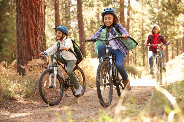 Family biking in the woods