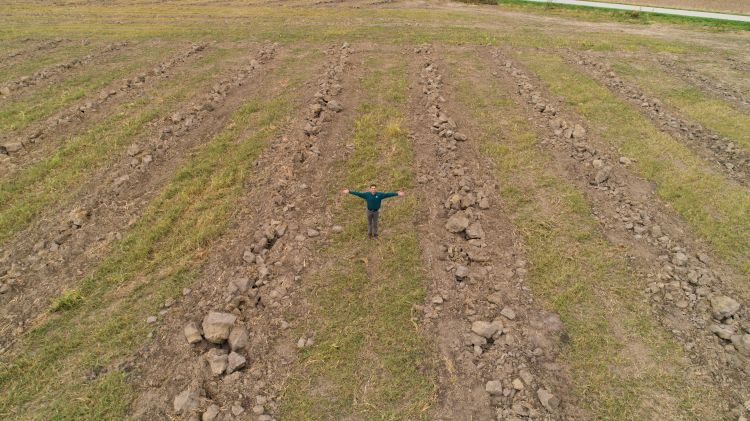 A field after drainage system installation.