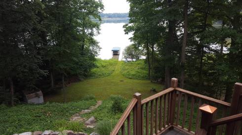 A residential lakefront property with abundant natural vegetation.