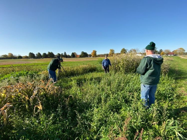 Kim Cassida in the cover crop variety trials