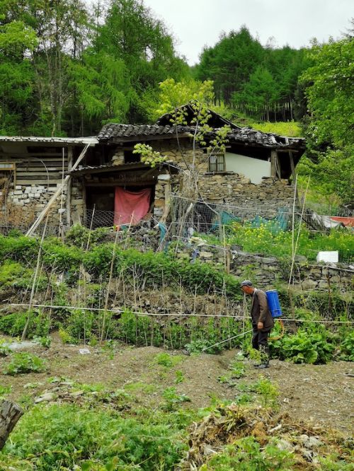 A farmer in Wolong Nature Reserve in China