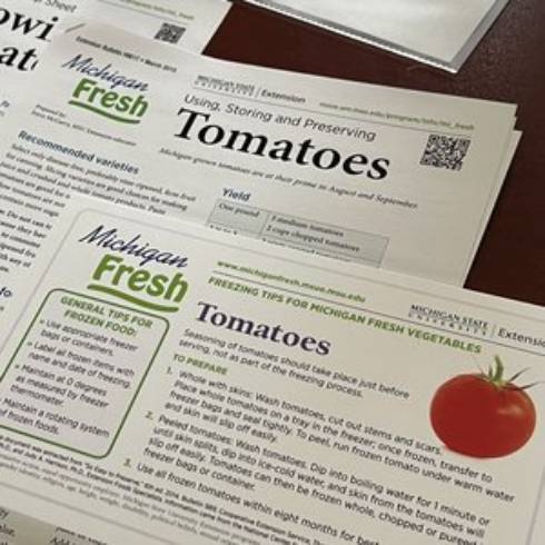 Picture of Tomato fact sheet