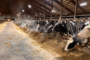 Biosecurity recommendations for dairy and beef cattle operations 