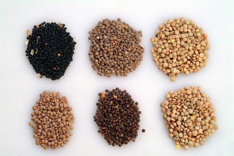 Assorted lentils.