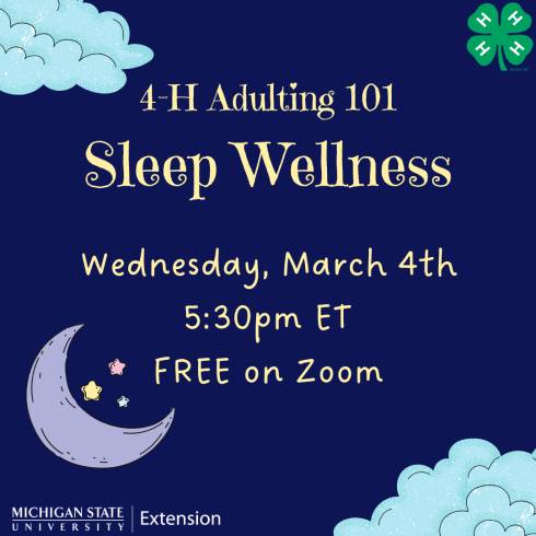 Clouds are found in the upper-left and lower-right corners with a 4-H clover in the top right corner and a MSU Extension logo in the bottom left corner. There is also a moon with stars in the middle.