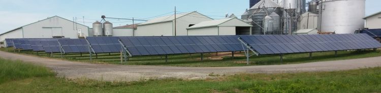 Ground mounted solar arrays at Langeland Farms in Ottawa County are part of the farm’s overall energy management strategy. Photo credit: Charles Gould, MSU