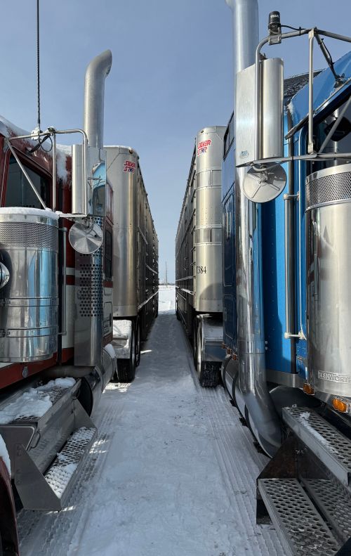 Two semi-trailers parked very close to each other.