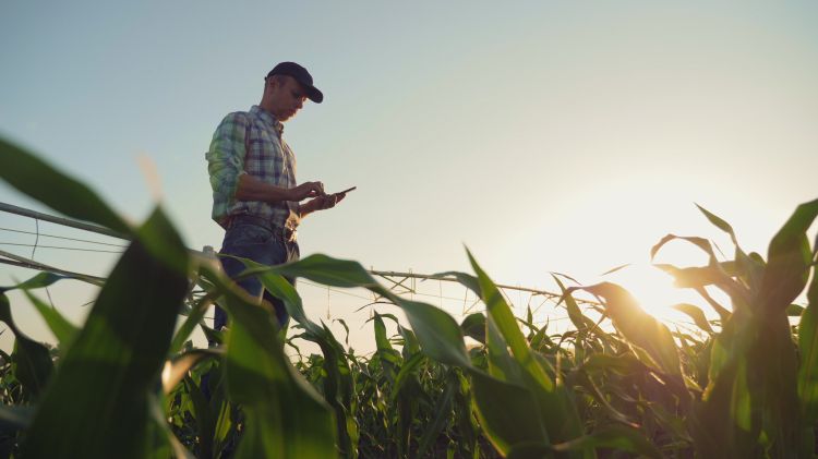 A man standing in a field reviewing something in his hand