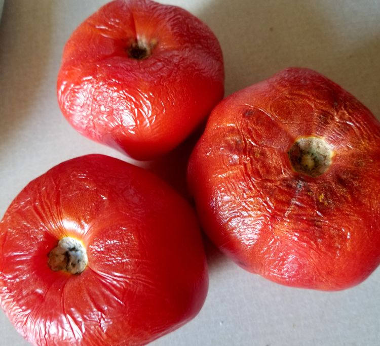 Dehydrated tomatoes