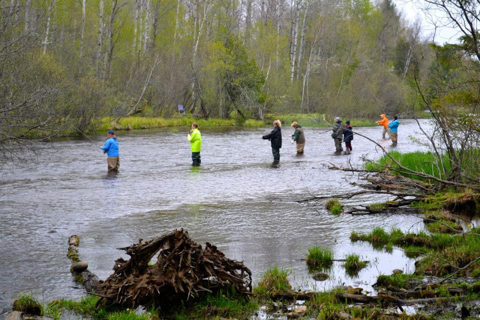 MSU Fly Gals casting