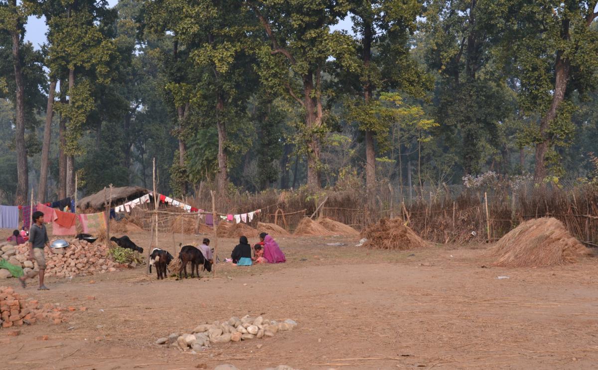 Chitwan National Park, Nepal