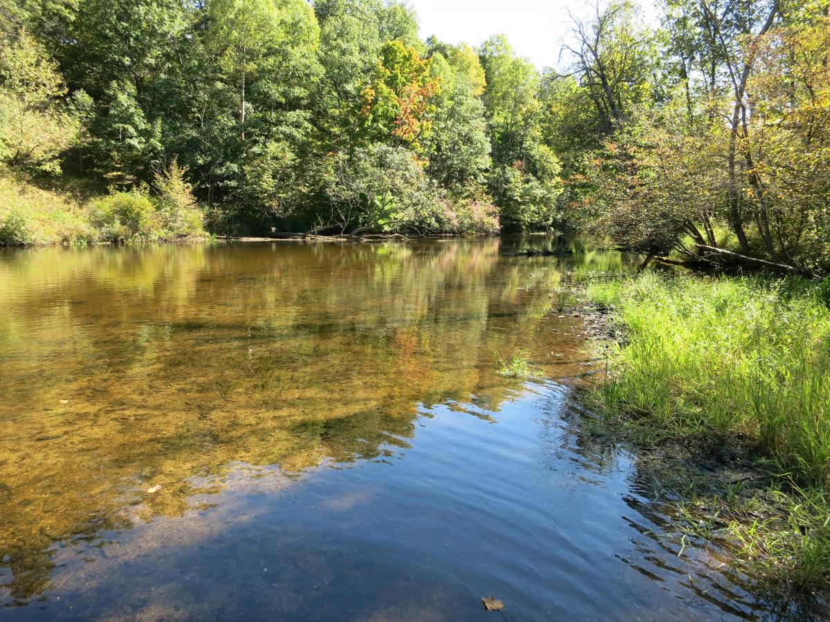 Mussel habitat, Michigan's Flat River