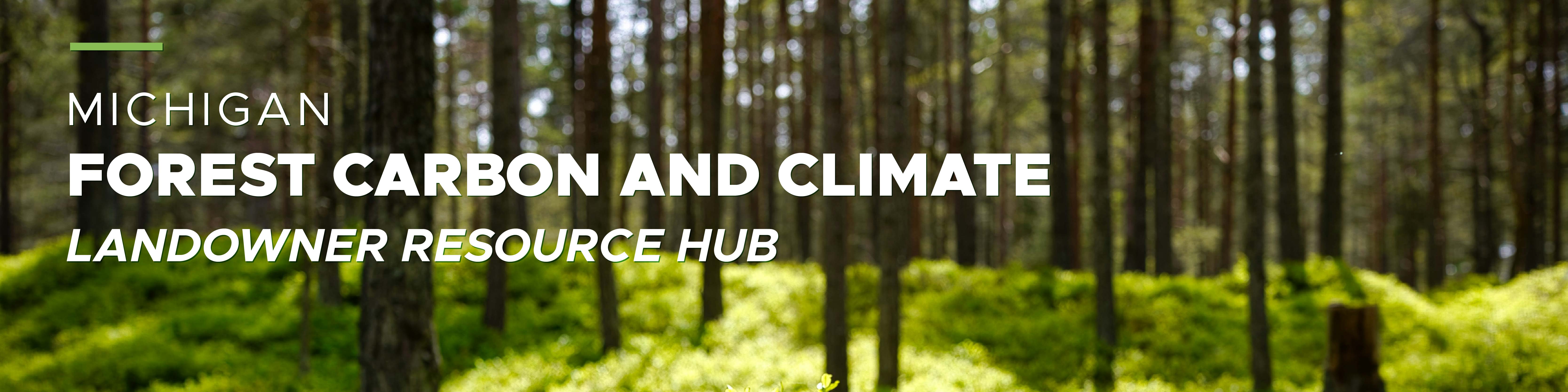 Decorative banner for the Michigan Forest Carbon and Climate Landowner Resource Hub. Photograph of a dense forest with tall, straight trees and lush green undergrowth. Text overlay highlights focus on forest carbon and climate, emphasizing landowner resources.