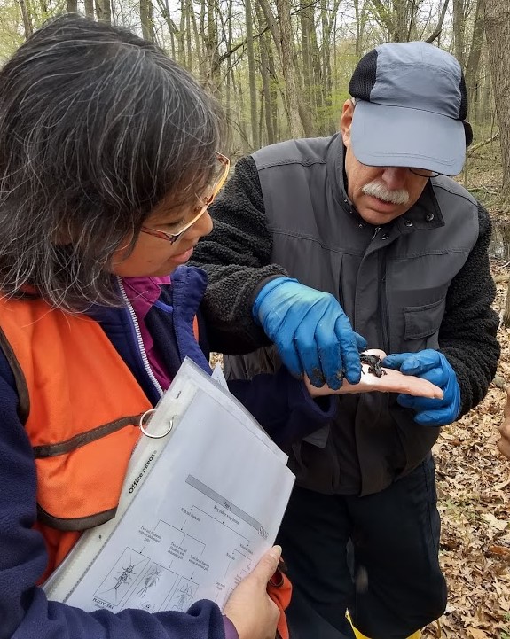 For decorative purposes.