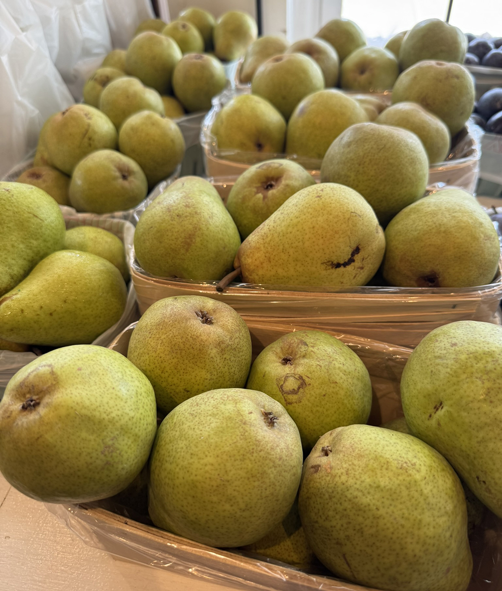 Bartlett pears for sale 
