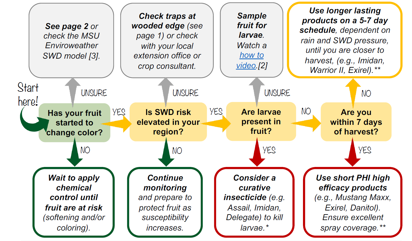 Flowchart guiding growers on when and how to manage spotted wing drosophila in cherries based on fruit color, regional SWD risk, larval presence, and days until harvest. The decision tree recommends monitoring, delaying sprays, or selecting longer-lasting or short preharvest interval insecticides depending on conditions.