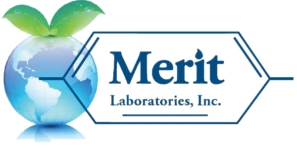 658170-MeritLogoclear.png