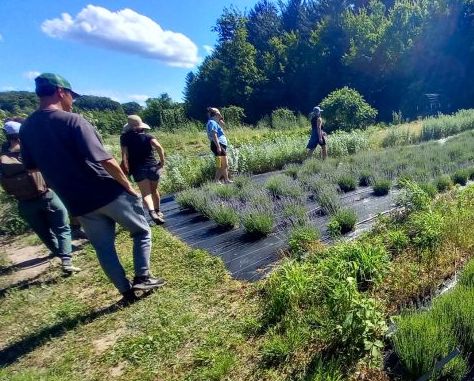 Farmers on a farm tour