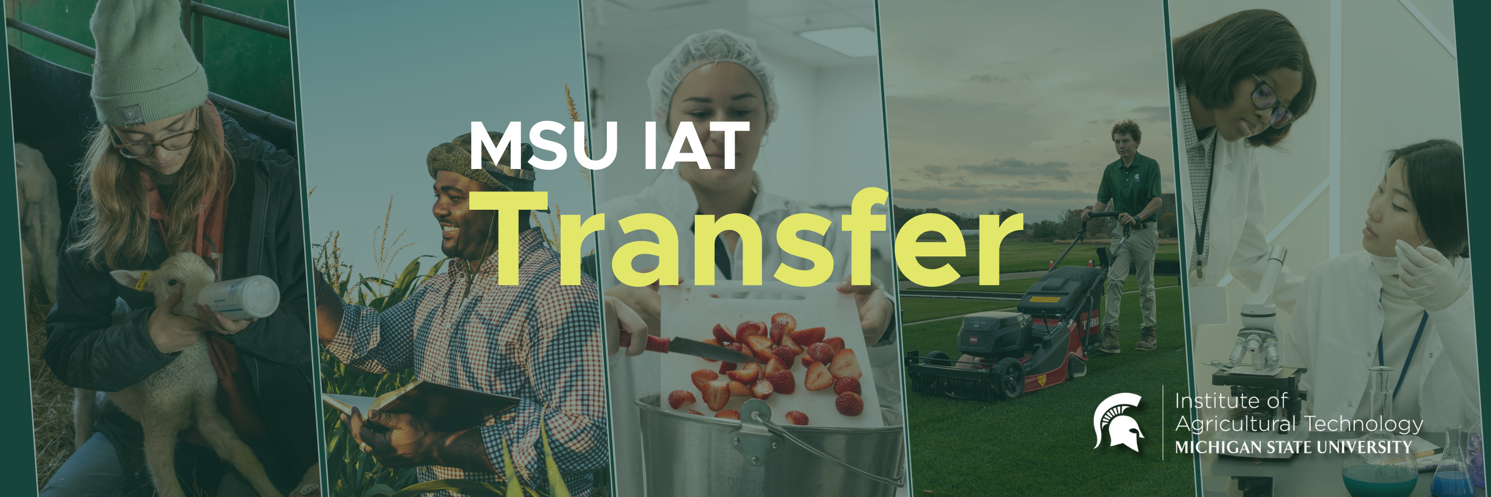 transfer