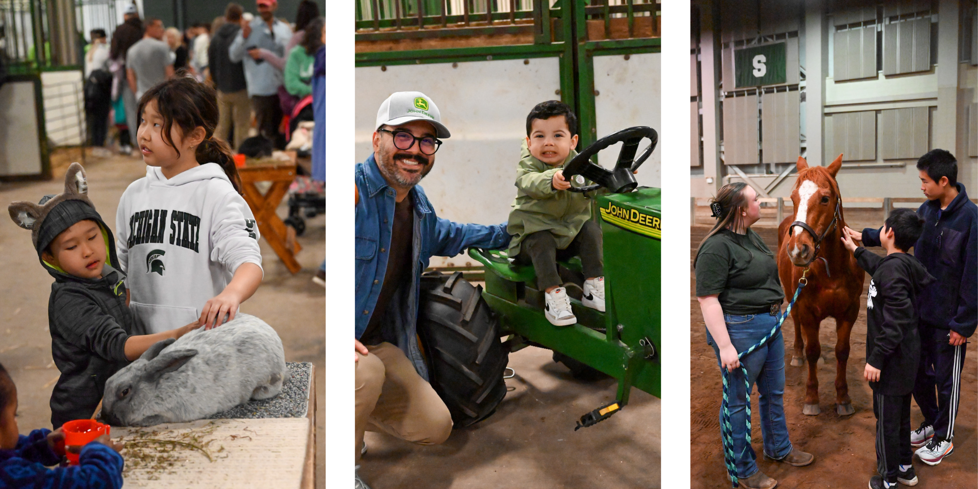 Left: Two children pet a gray rabbit. Center: A father sits next to his small child, who is sitting on a green toy tractor. Right: An MSU student hold a horse, as a mother and two children pet it.