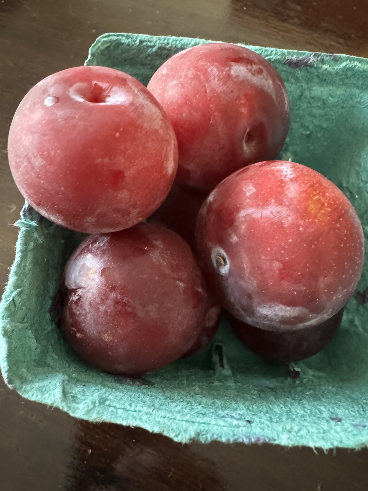 Plums_Romeo_July15_2024.jpg