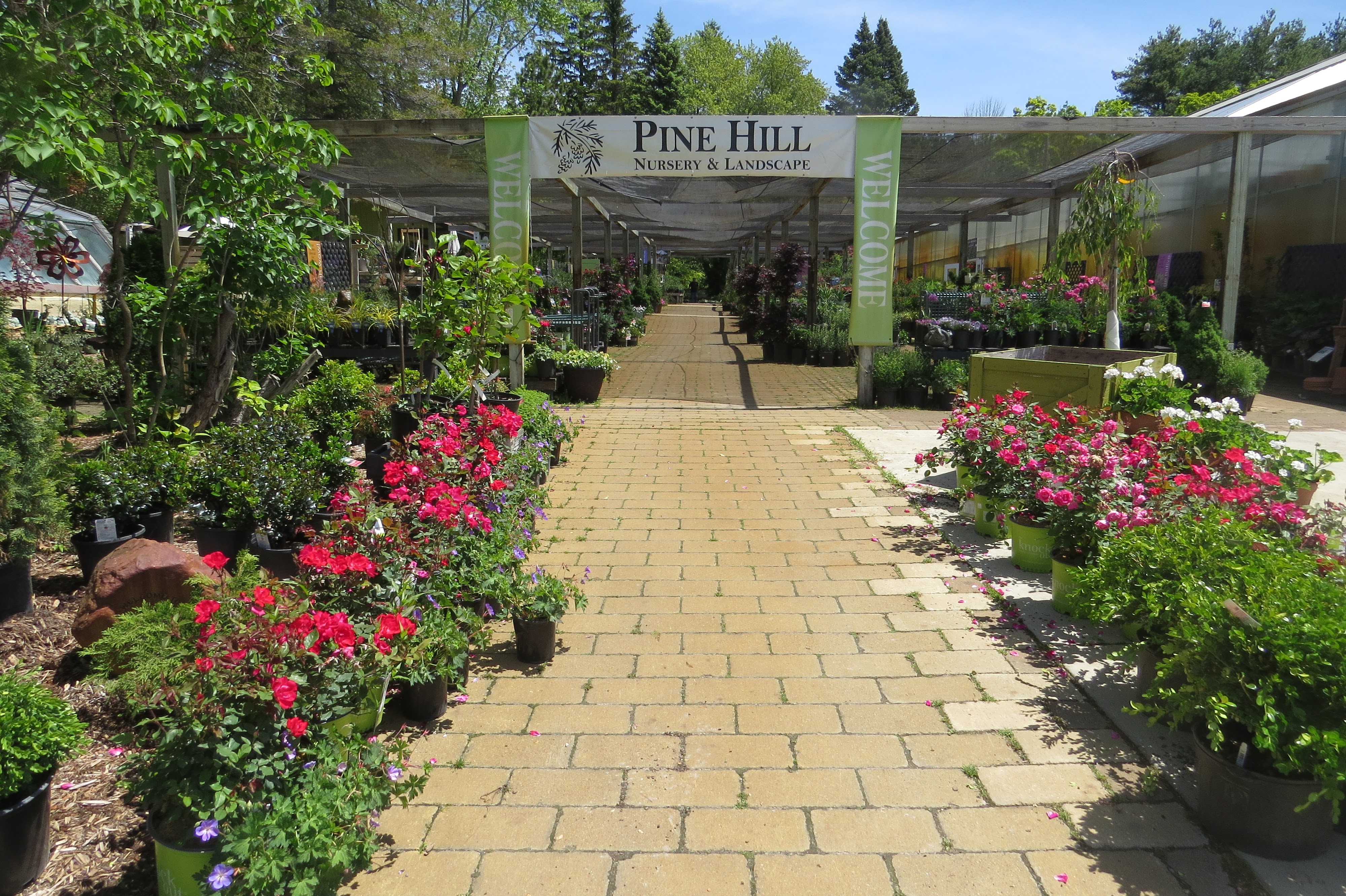 Pine Hill Nursery entrance