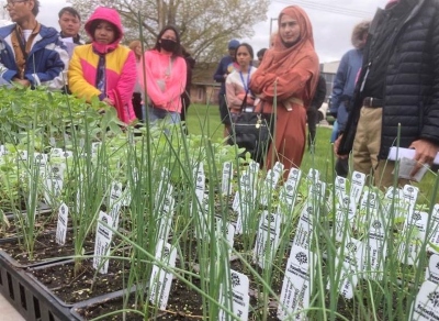 Community Gardens food sovereignty.jpg