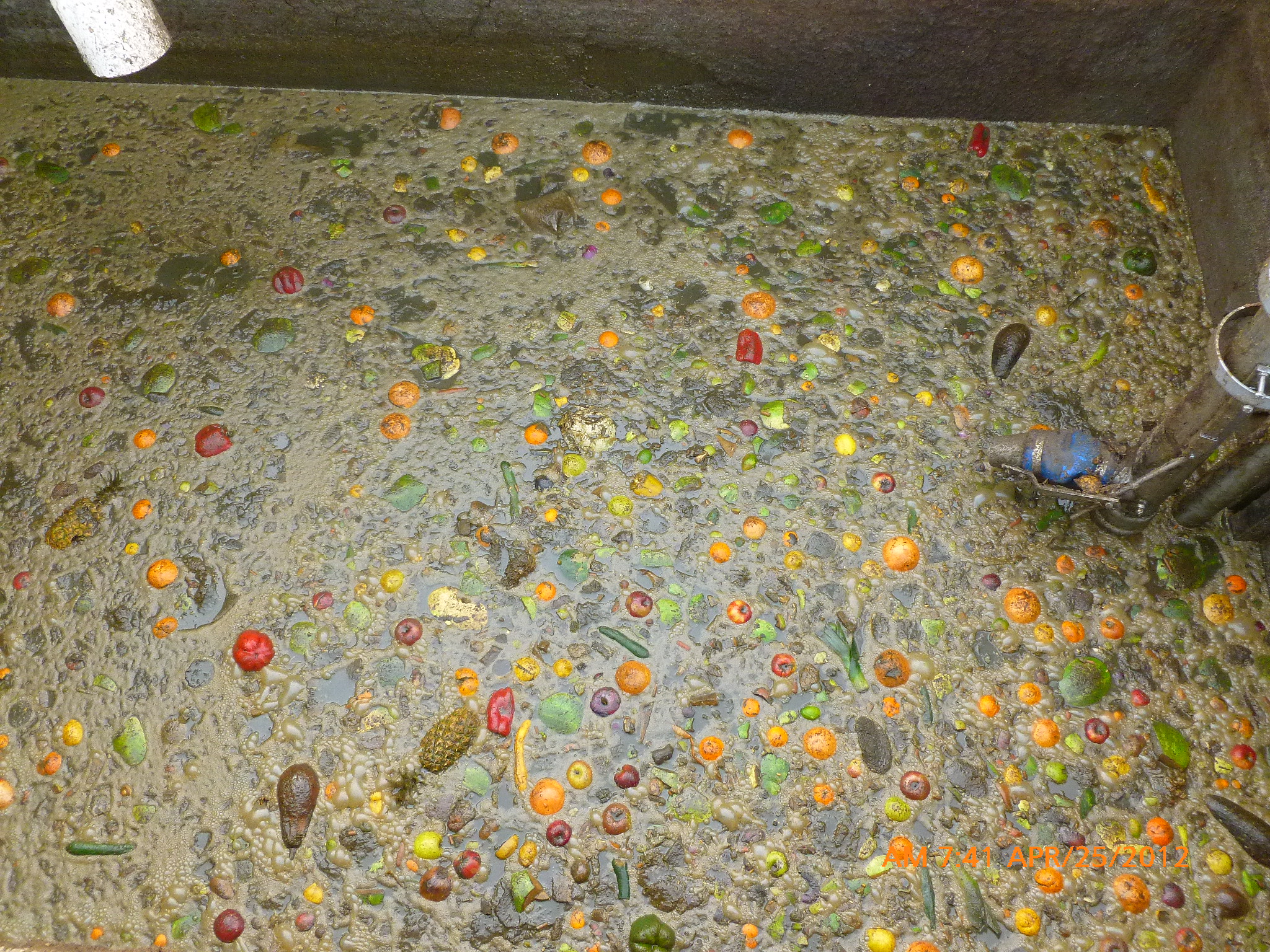 FoodwastesToSCAD.JPG