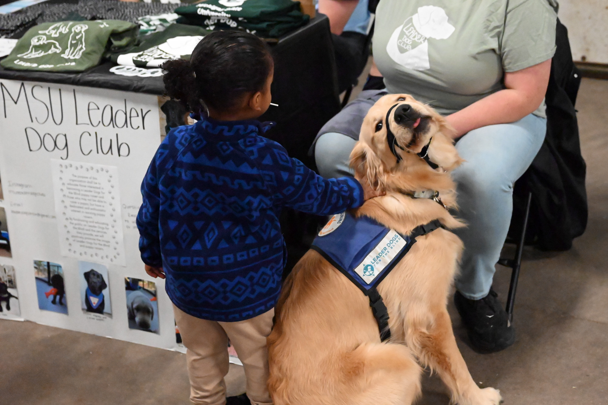 A small child pets a Golden Retriever service dog at a booth for the MSU Leader Dog Club.