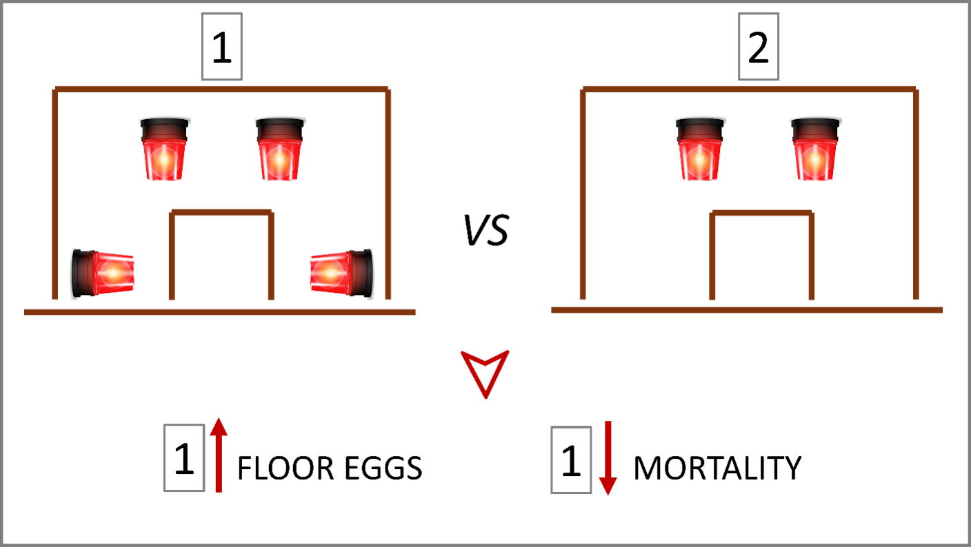 Diagram comparing ceiling and wall lighting treatments. Adding wall lights increased floor eggs but decreased hen mortality compared with ceiling lights alone.