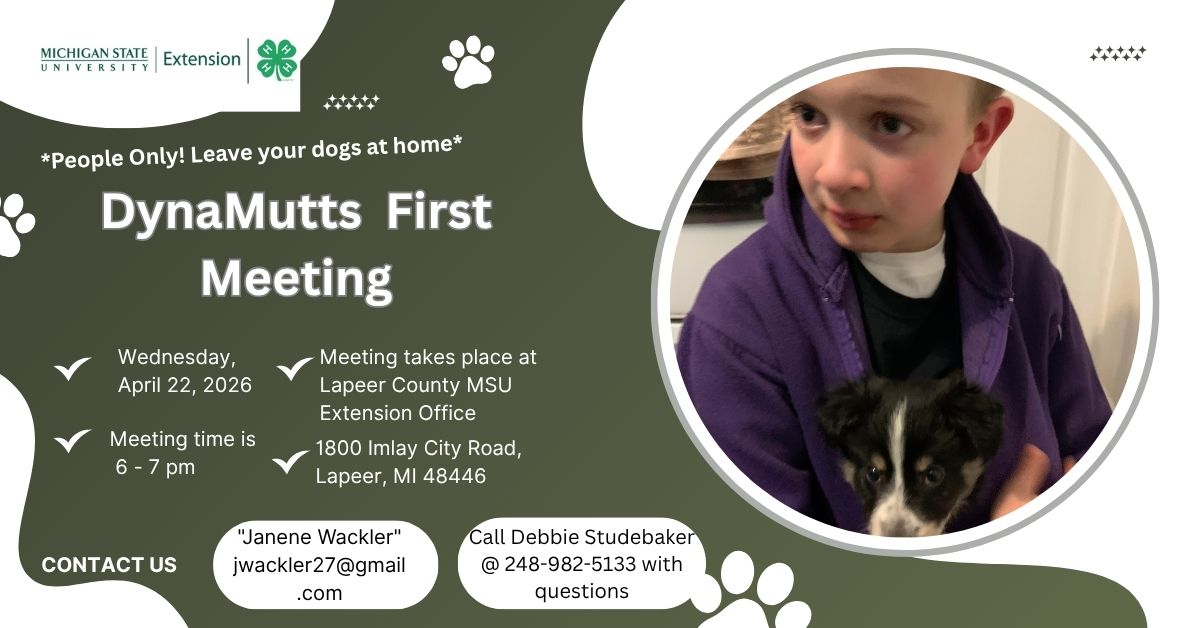 Let&rsquo;s Learn About Dogs Together.jpg