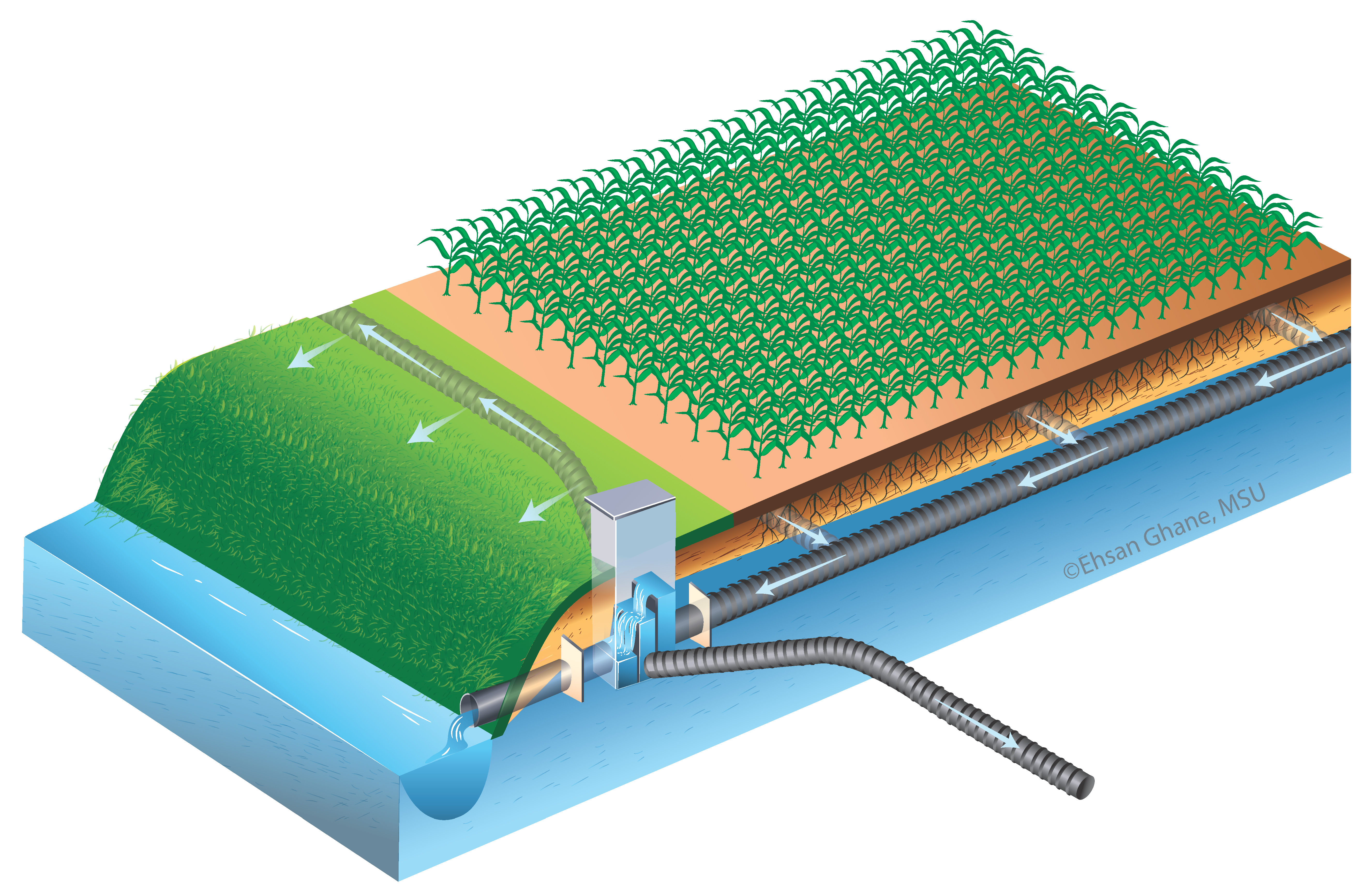Diagram of a saturated buffer