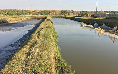 LUNAR aquaculture facility