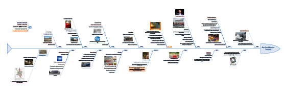 Flint Food System Timeline