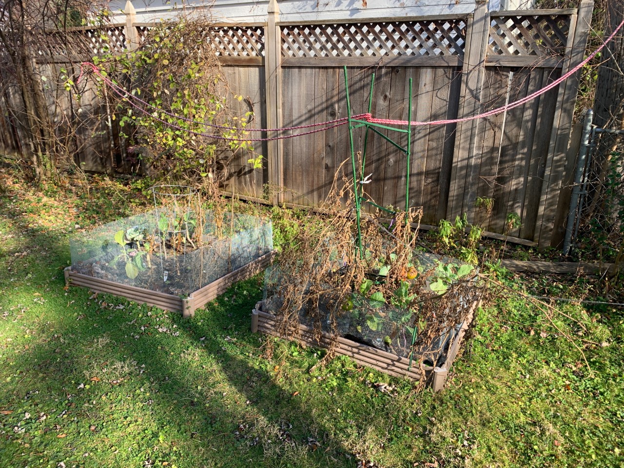 Small raised bed garden